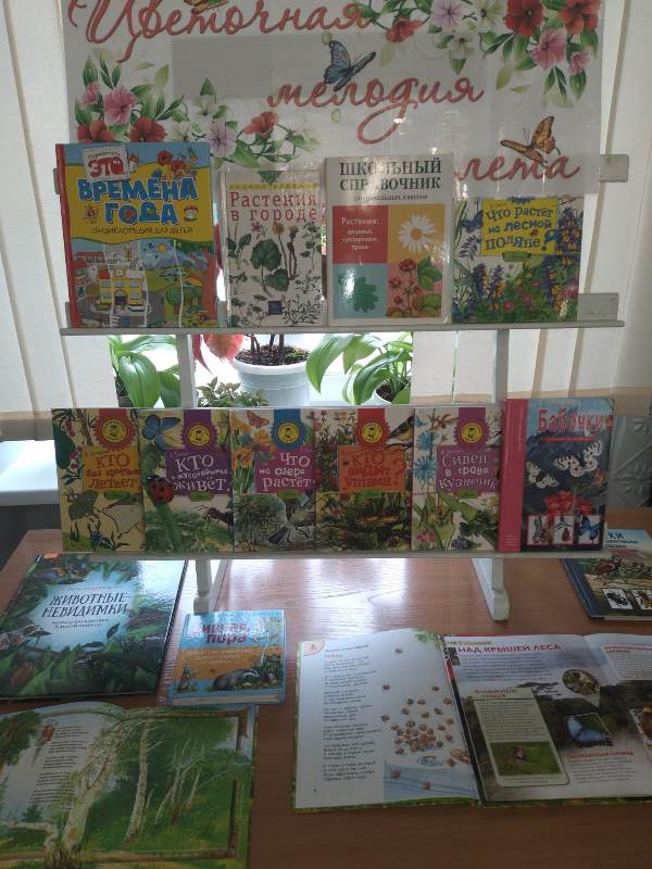 Цветочная история лета